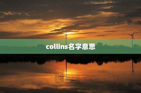 collins名字意思