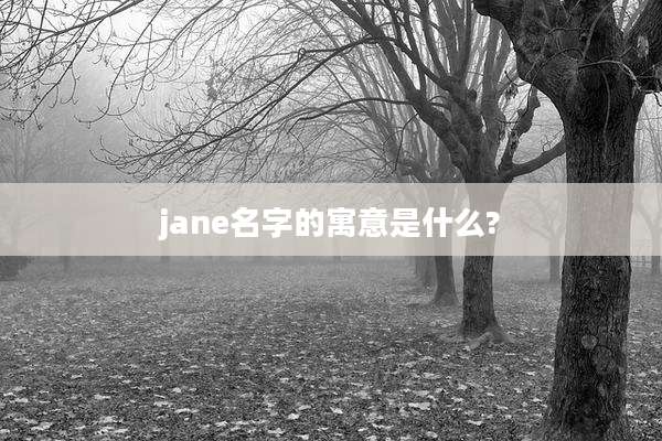 jane名字的寓意是什么?