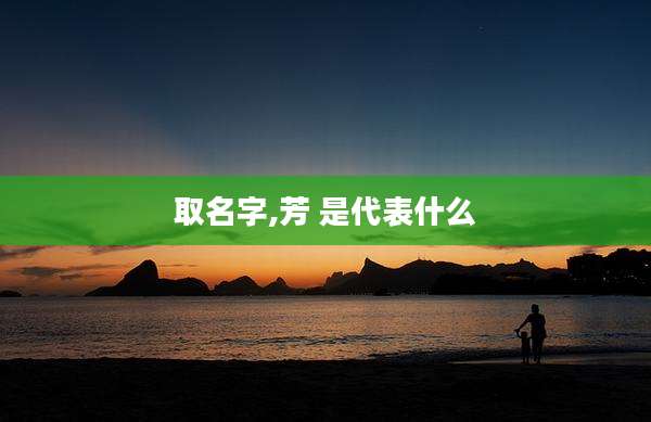 取名字,芳 是代表什么