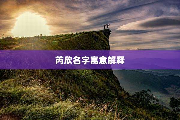 芮欣名字寓意解释