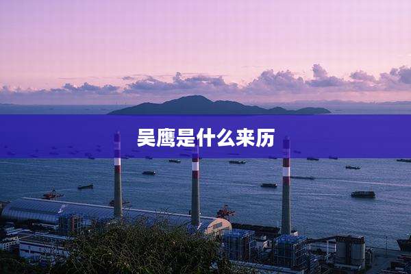 吴鹰是什么来历