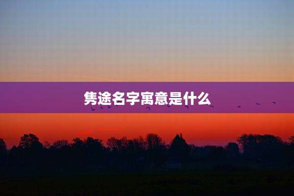 隽途名字寓意是什么