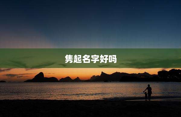 隽起名字好吗