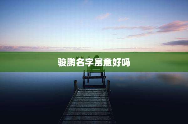 骏鹏名字寓意好吗