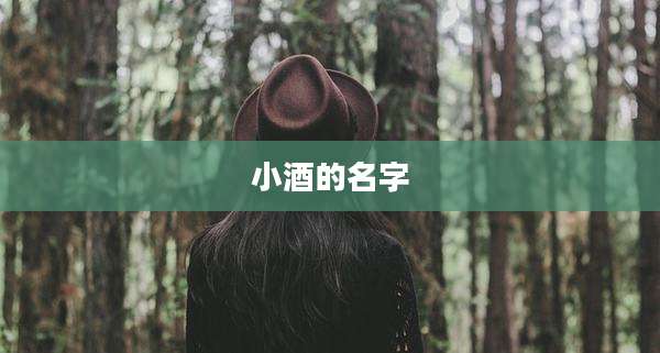 小酒的名字