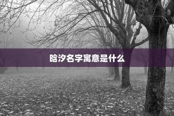 晗汐名字寓意是什么