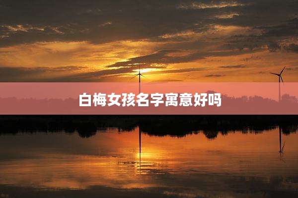 白梅女孩名字寓意好吗