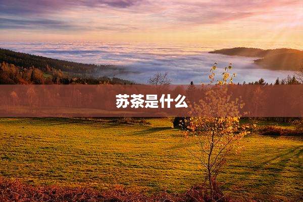 苏茶是什么