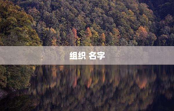 组织 名字