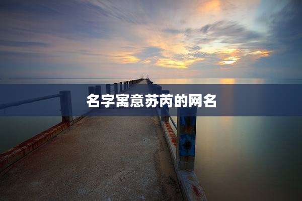名字寓意苏芮的网名