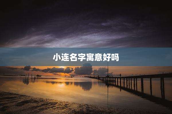 小连名字寓意好吗