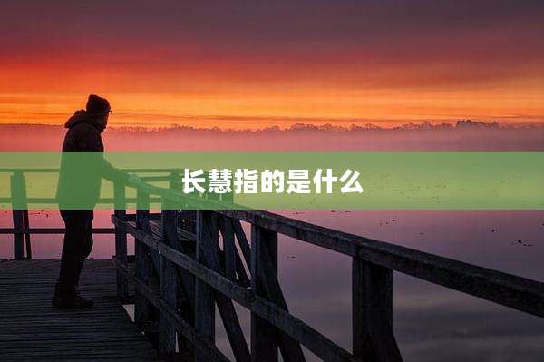 长慧指的是什么