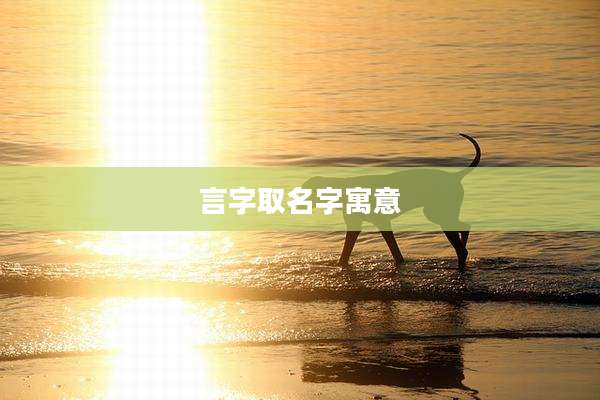 言字取名字寓意