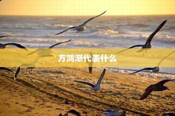 方鸿渐代表什么