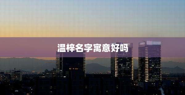 温梓名字寓意好吗