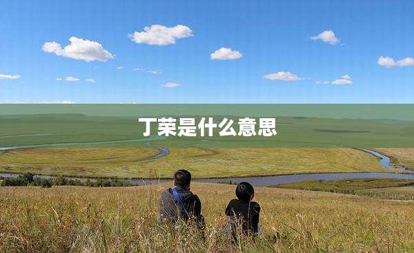 丁荣是什么意思