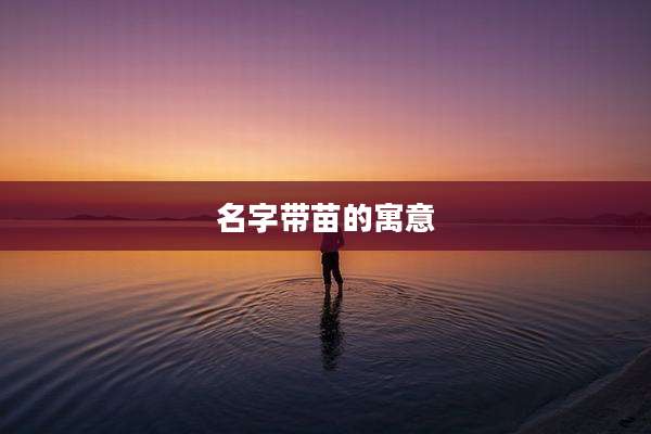 名字带苗的寓意