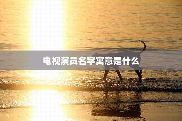 电视演员名字寓意是什么