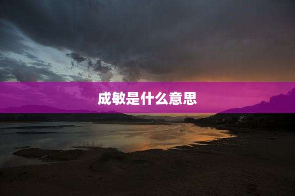 成敏是什么意思