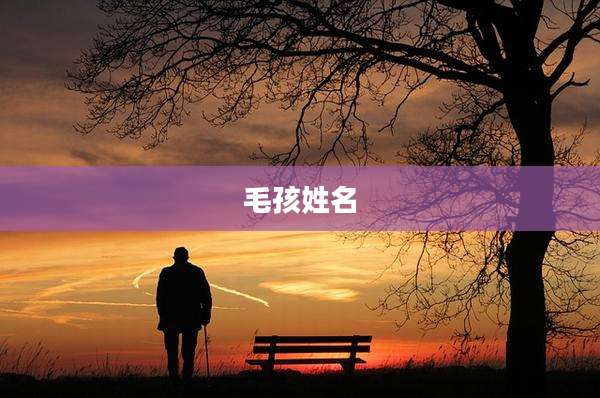 毛孩姓名