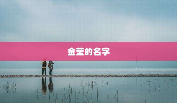 金莹的名字