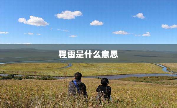 程雷是什么意思