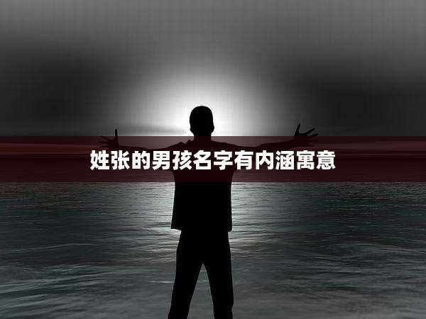 姓张的男孩名字有内涵寓意