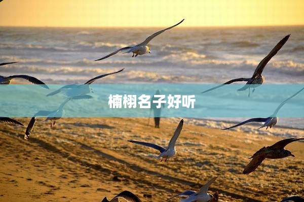 楠栩名子好听