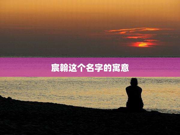 宸翰这个名字的寓意