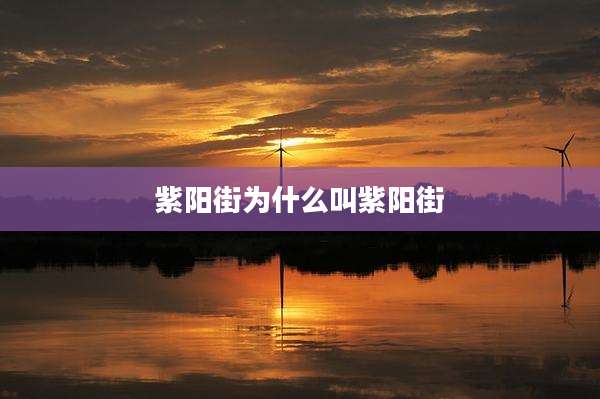 紫阳街为什么叫紫阳街