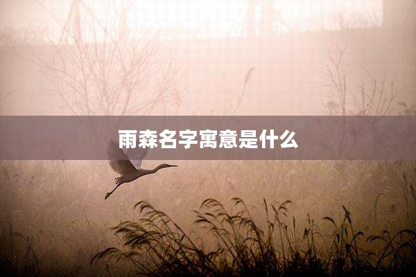 雨森名字寓意是什么
