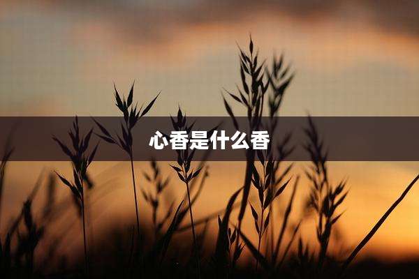 心香是什么香