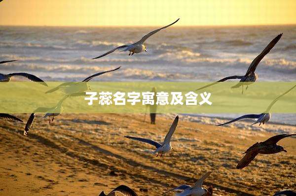 子蕊名字寓意及含义