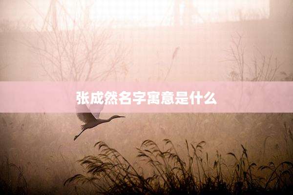 张成然名字寓意是什么