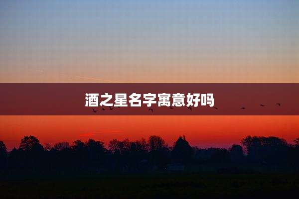 酒之星名字寓意好吗