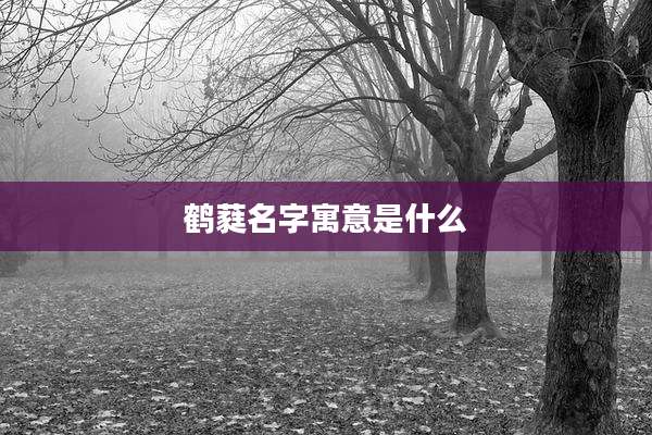 鹤蕤名字寓意是什么