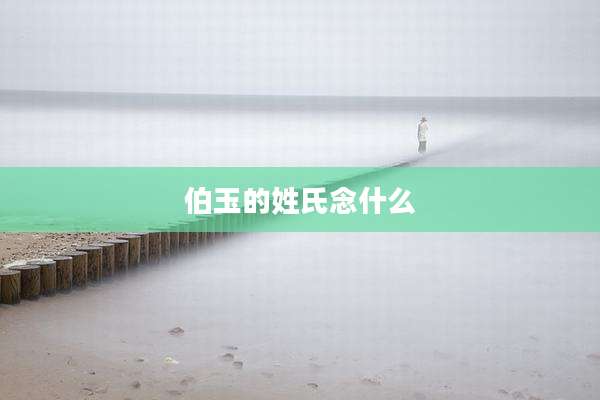 伯玉的姓氏念什么