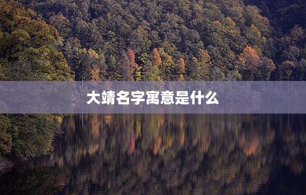 大靖名字寓意是什么