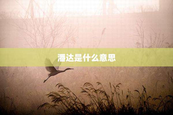 潘达是什么意思