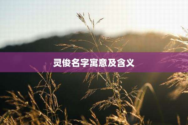 灵俊名字寓意及含义