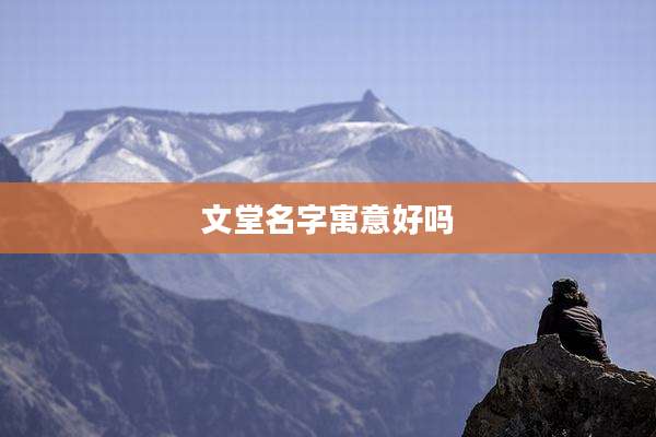 文堂名字寓意好吗