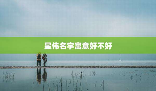 星伟名字寓意好不好