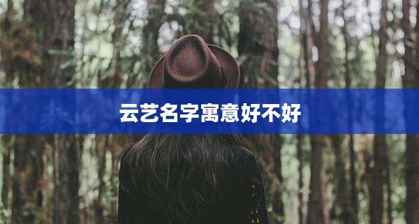 云艺名字寓意好不好