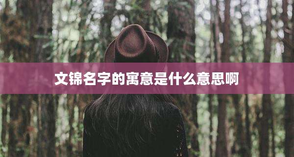 文锦名字的寓意是什么意思啊