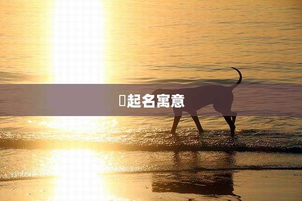 溁起名寓意