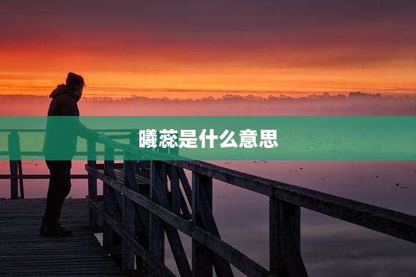 曦蕊是什么意思