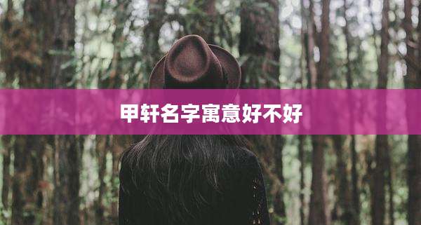 甲轩名字寓意好不好