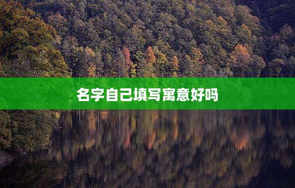 名字自己填写寓意好吗