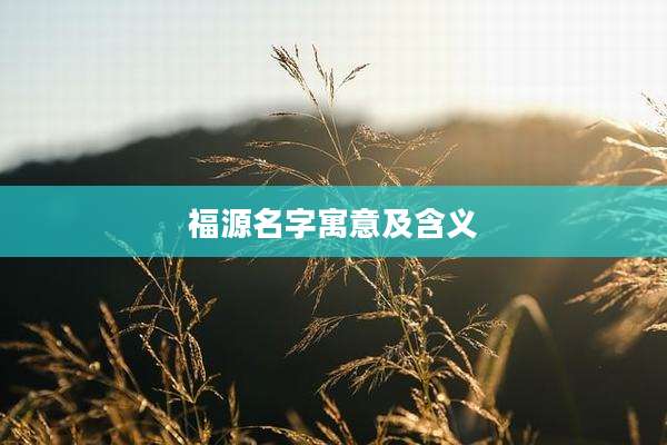 福源名字寓意及含义