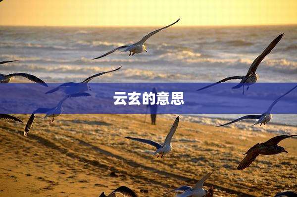 云玄的意思